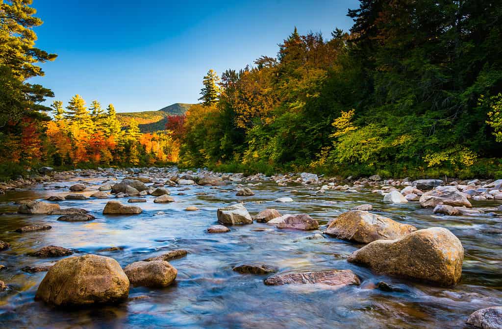 Swift River at New Hampshire