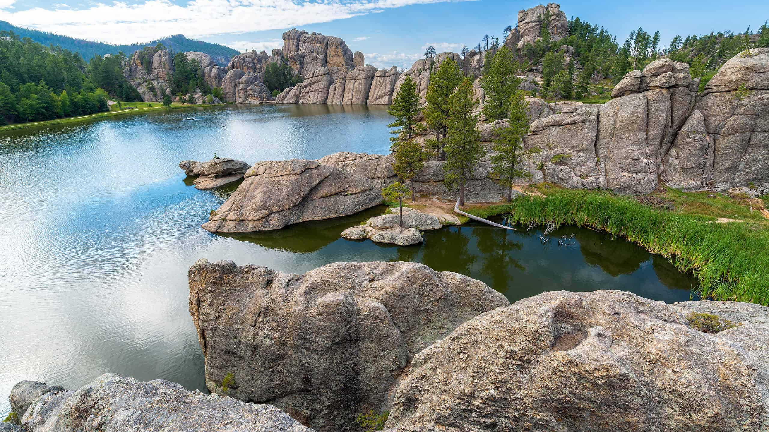 Dining Delights Within The Scenic Vistas Of Custer State Park