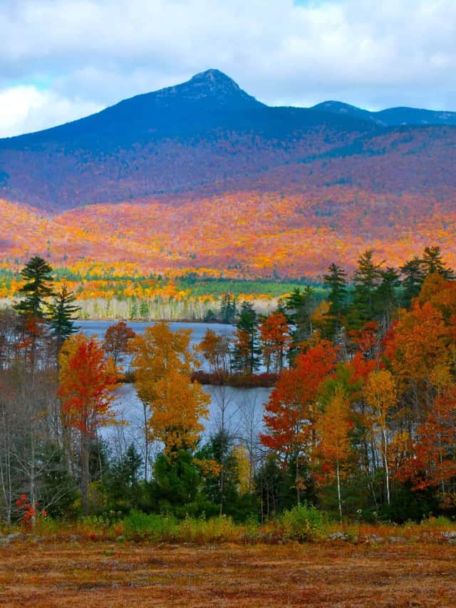 The 5 Best Spots for Leaf Peeping in New Hampshire AZ Animals