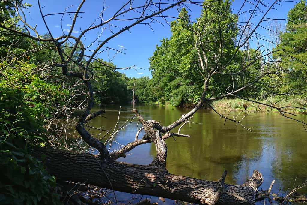 Tippacanoe River