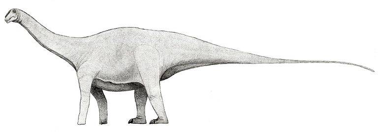 Xenoposeidon
