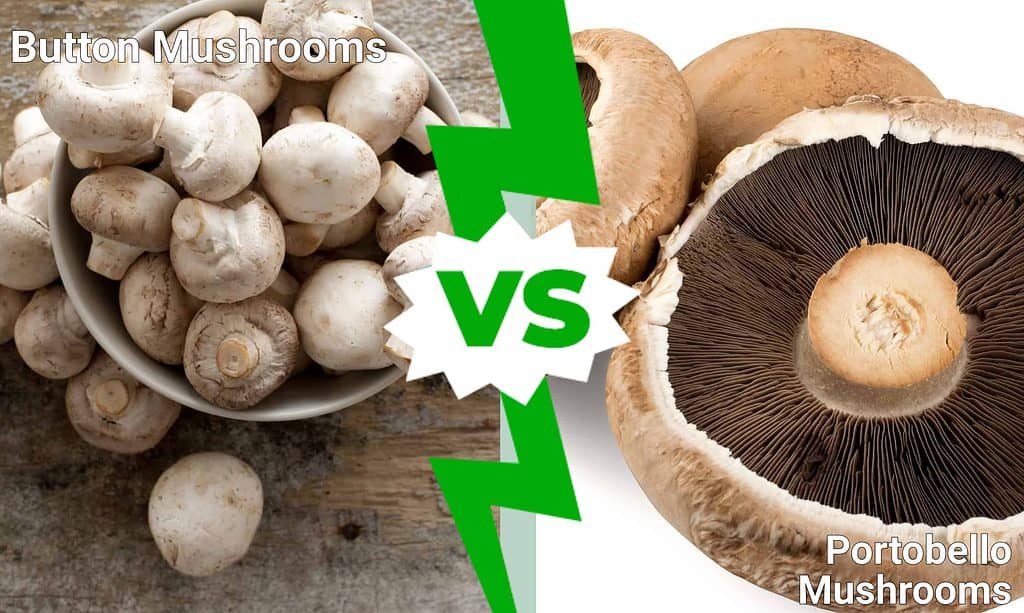 Button Mushrooms vs Portobello Mushrooms