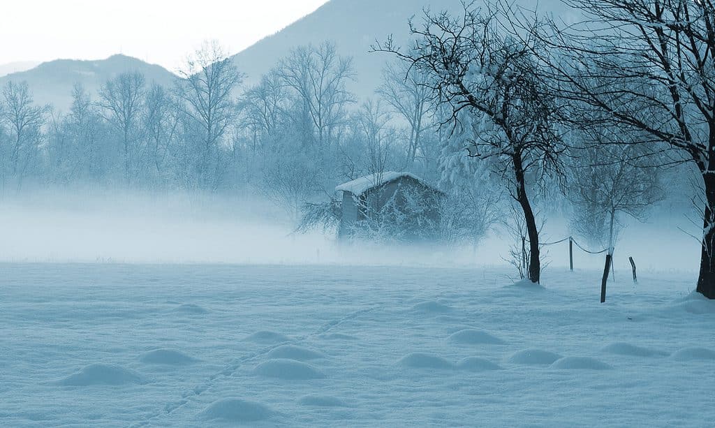 fog and snow