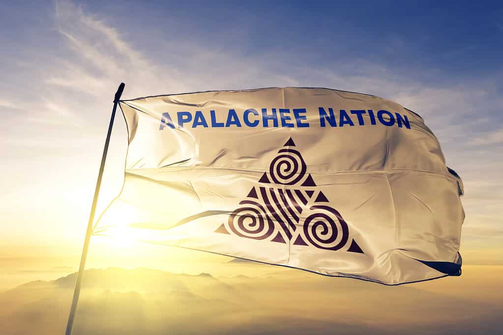 Apalachee nation flag fabric textile waving on top fog mist sunrise