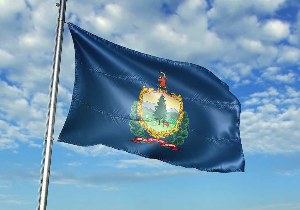 Flag of Vermont waving in the wind