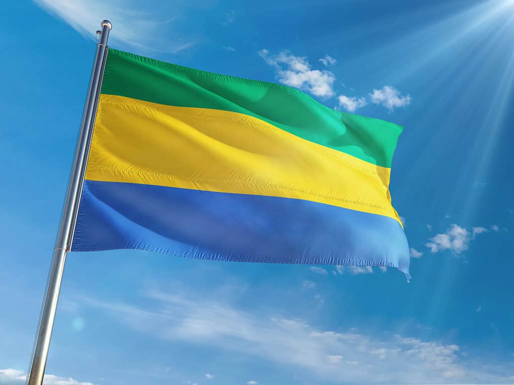 Flag of Gabon waving in the wind