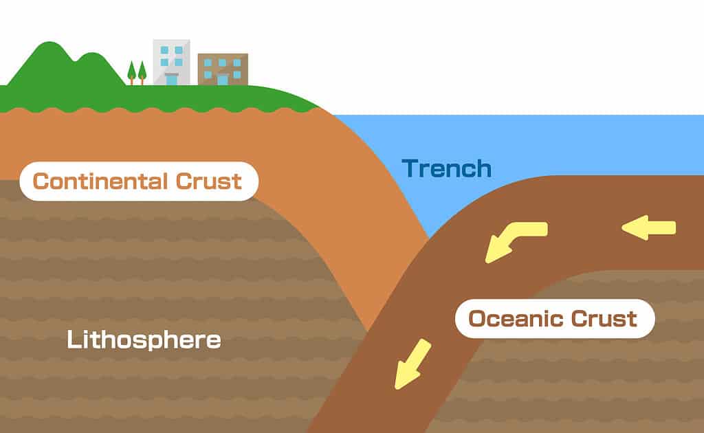 A sectional view of continental crust and oceanic crust