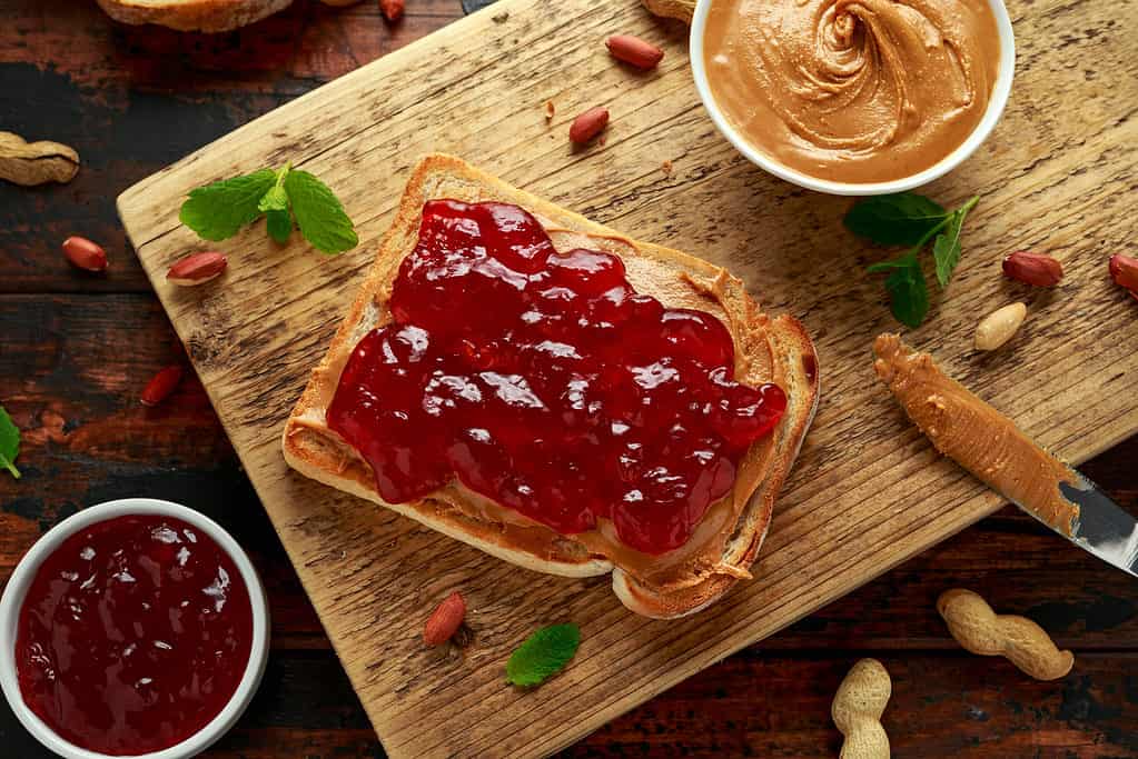 is peanut butter and jelly good for dogs