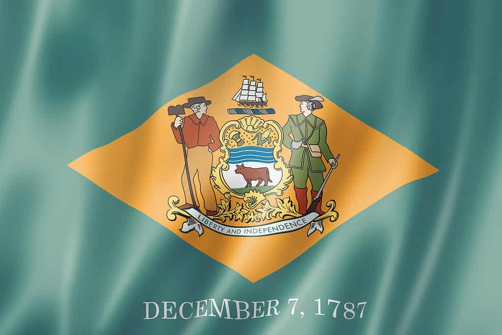 Bandeira do estado de Delaware, EUA