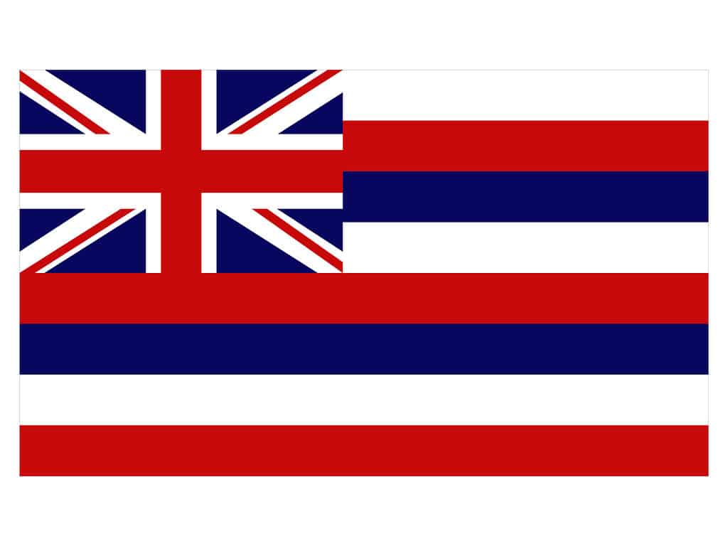 Flag of the state of Hawaii