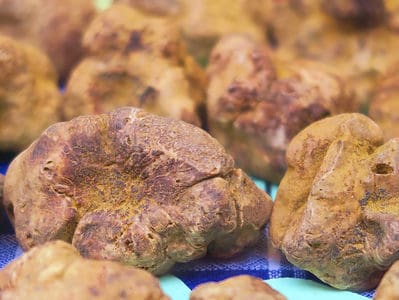 A 3 Types of Truffles: Discover These Delicious Fungi!
