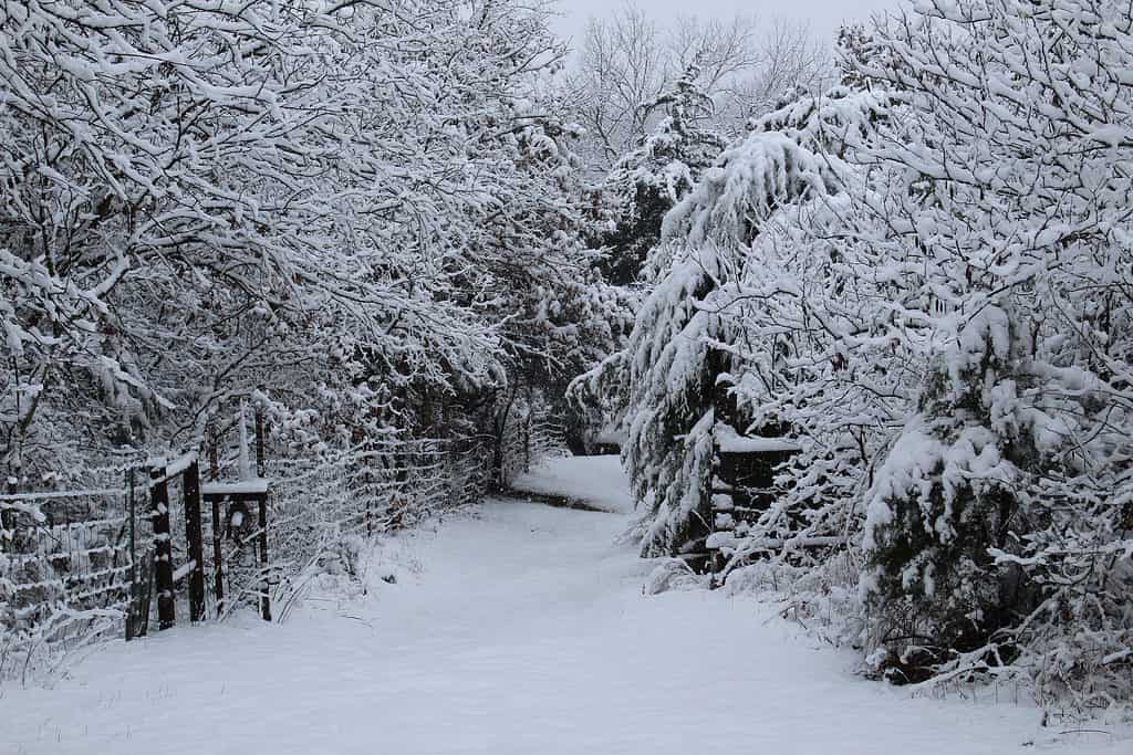 Snow in Oklahoma