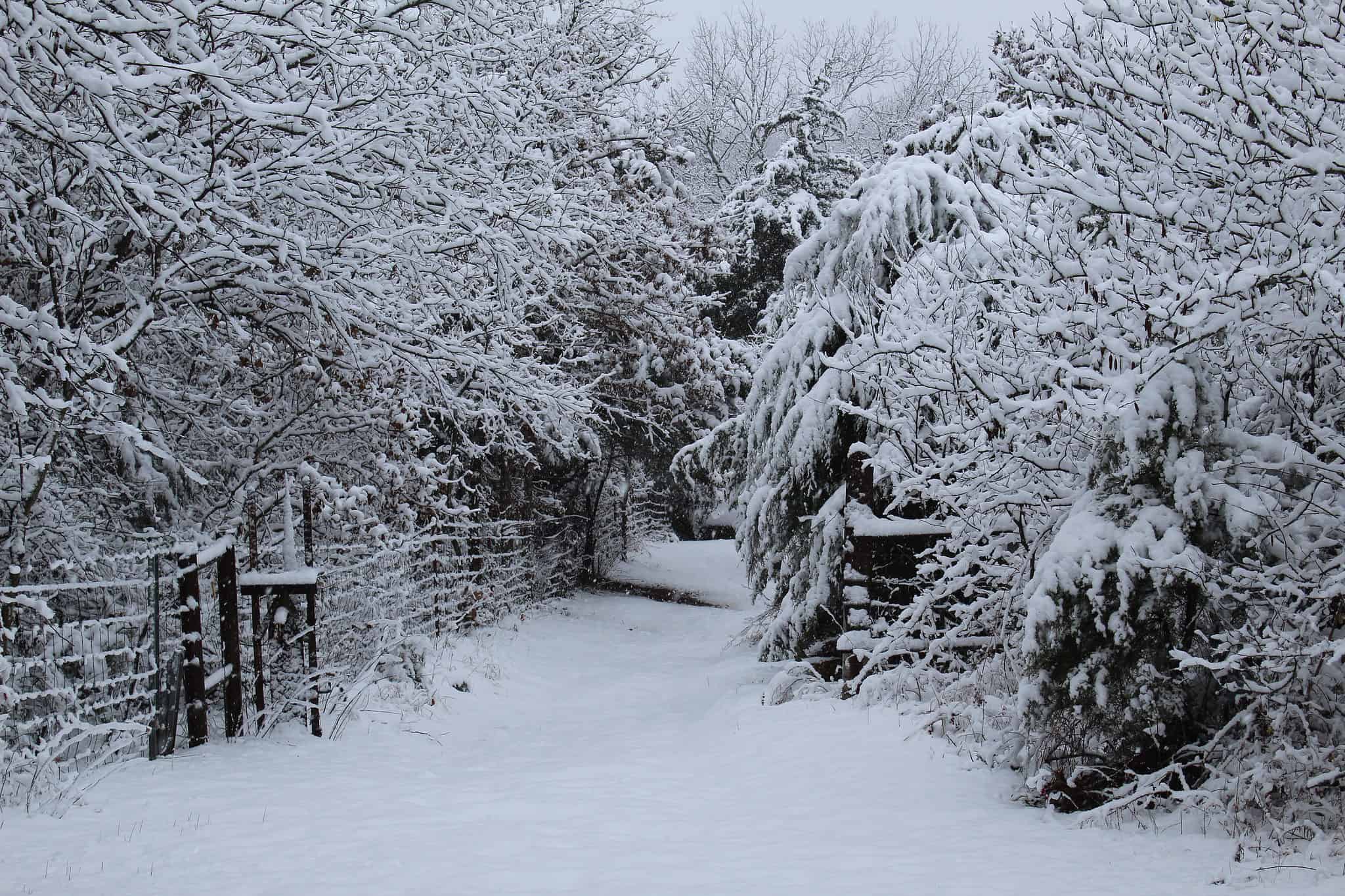 Does It Snow in Oklahoma? Snowiest Places and Average Amounts - A-Z Animals