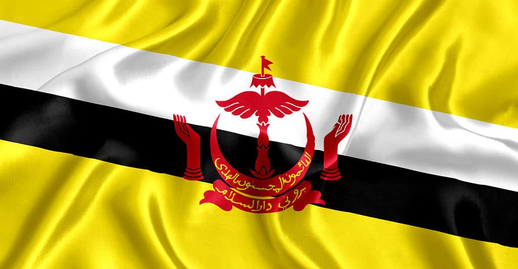 Flag of Brunei silk