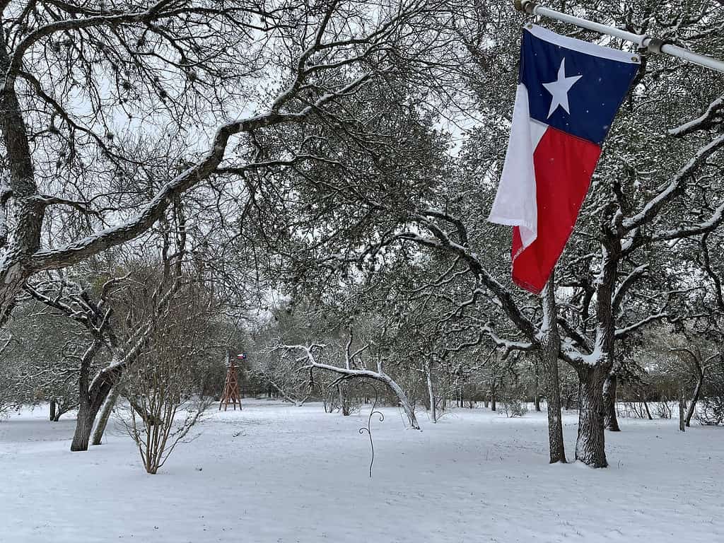tuyết Texas