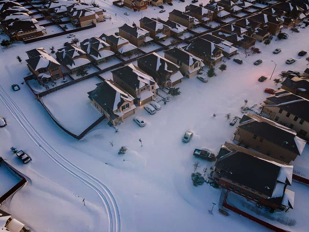 Snow in Texas