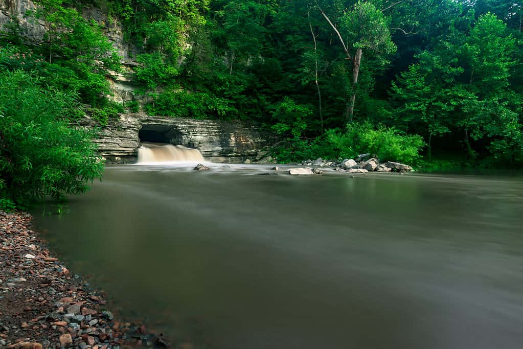Narrows of the Harpeth