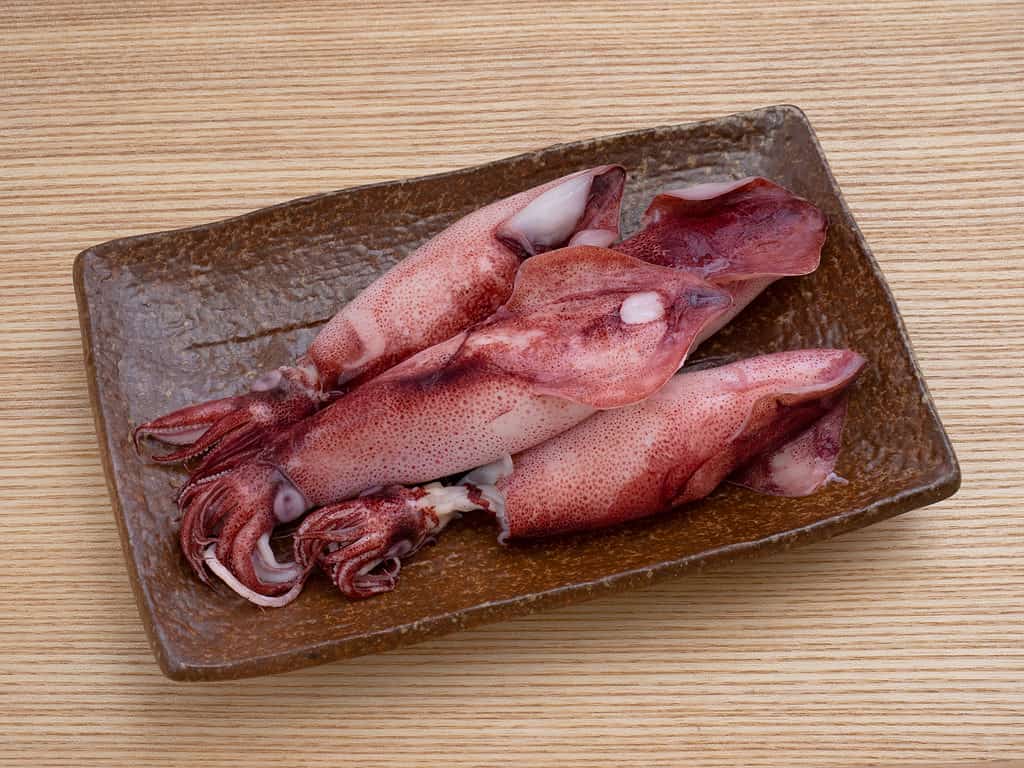 Calamari is cooked squid