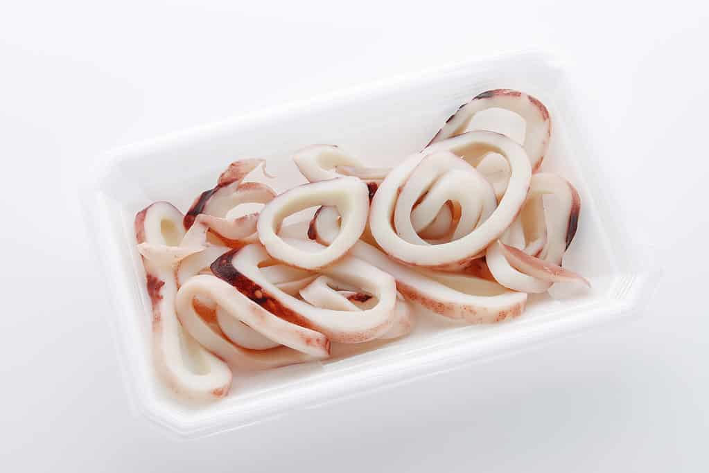 Boiled calamari squid