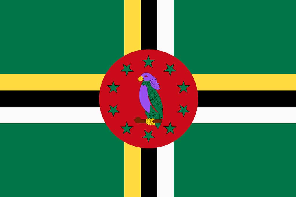 Minh họa nền cờ Dominica màu xanh lá cây vàng đen đỏ vẹt sisserou