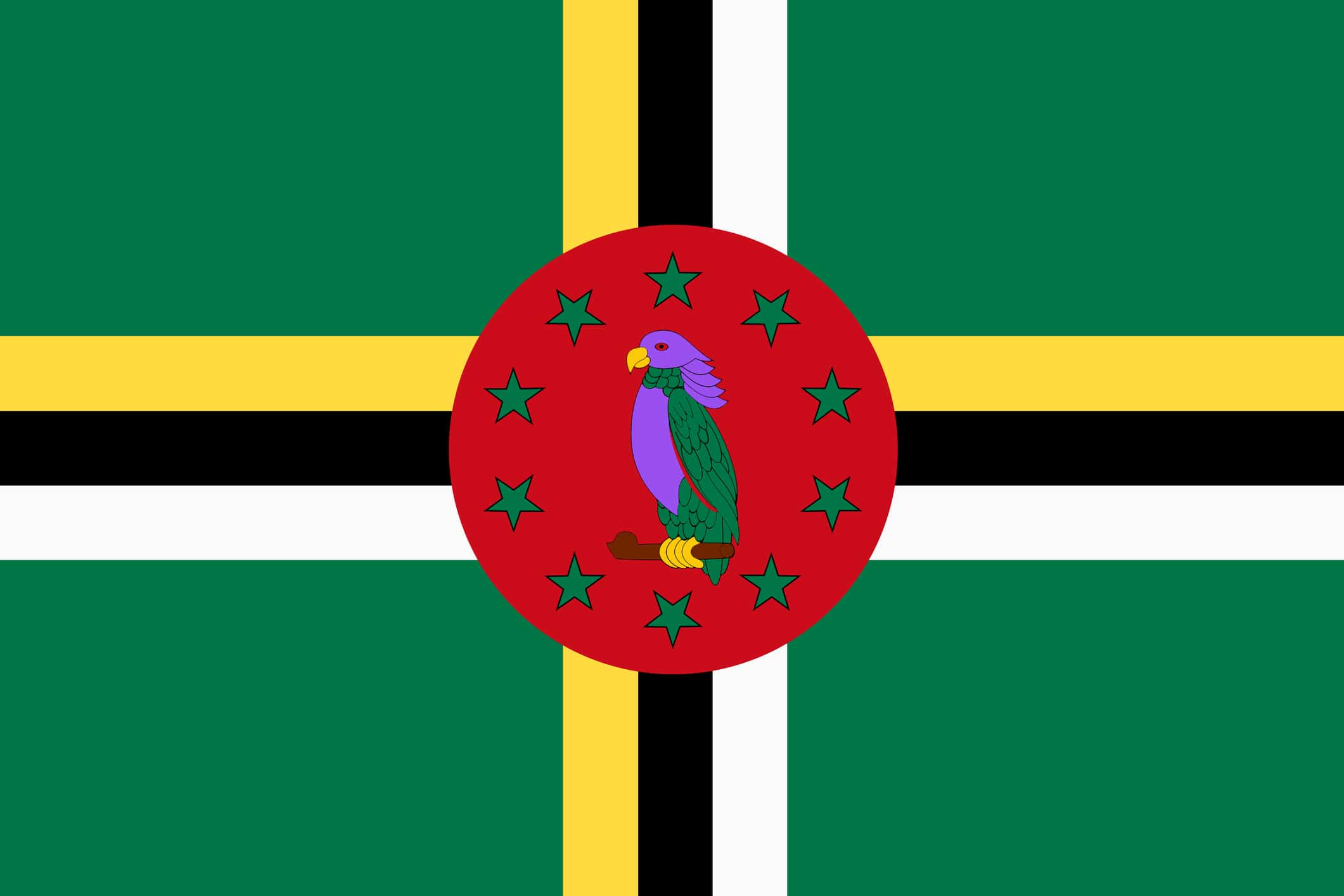 Dominica flag background illustration green yellow black red sisserou parrot