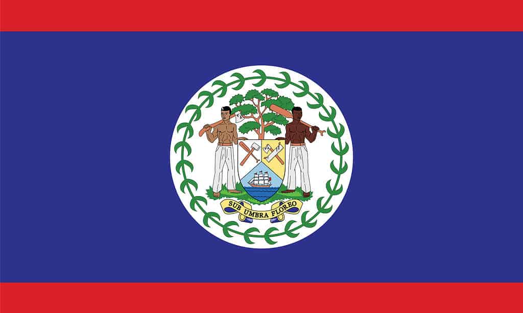 Belize National Flag Vektor Illustration