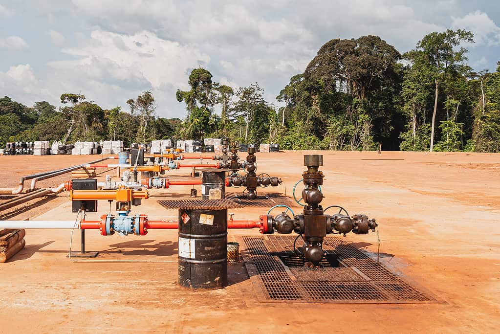 Gabon is naturally rich in petroleum.