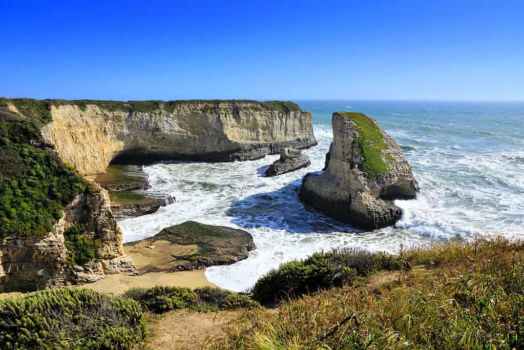 Shark fin cove