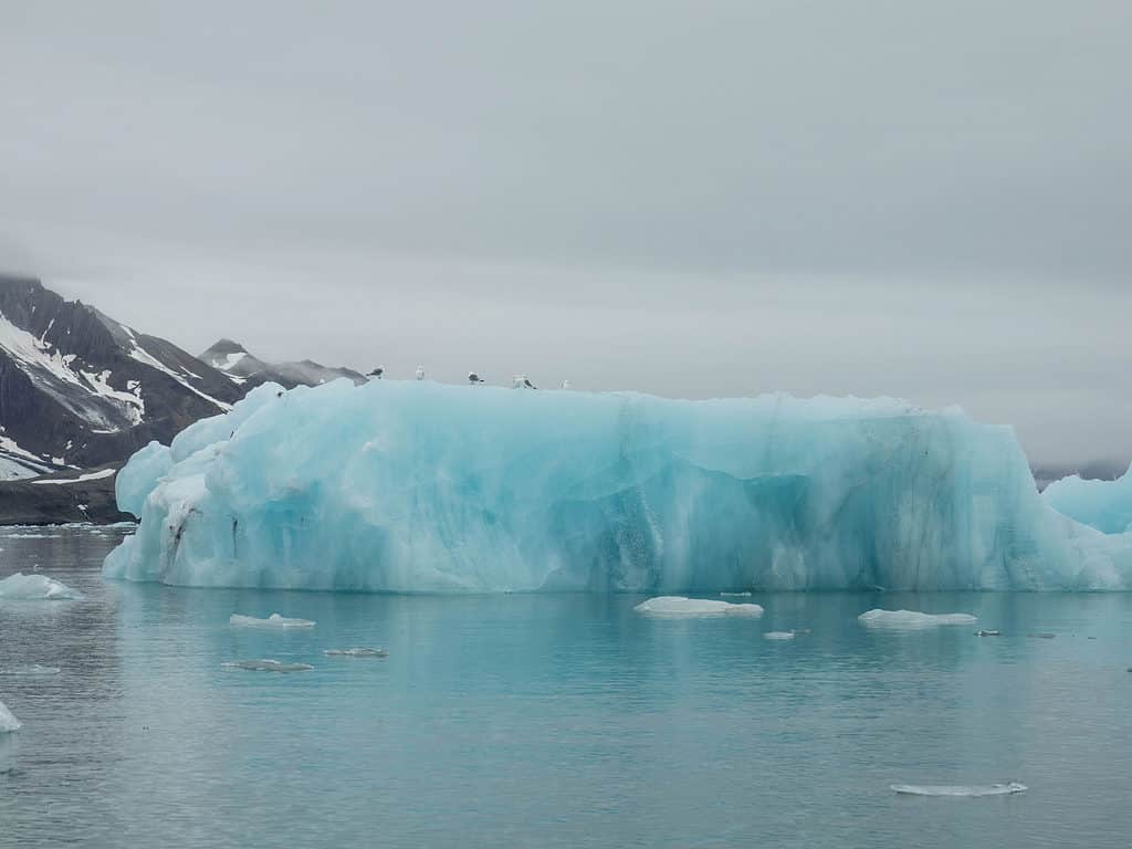 Iceberg from a melting glacier in the arctic.