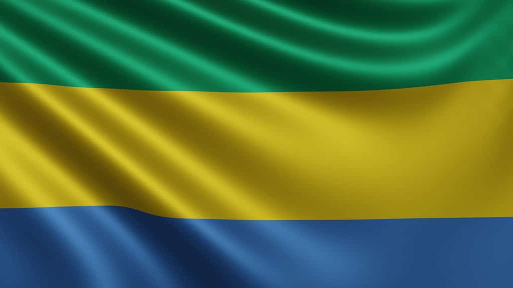 Close up of flag of Gabon