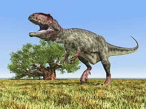 Did Dinosaurs Live in Rhode Island? Picture