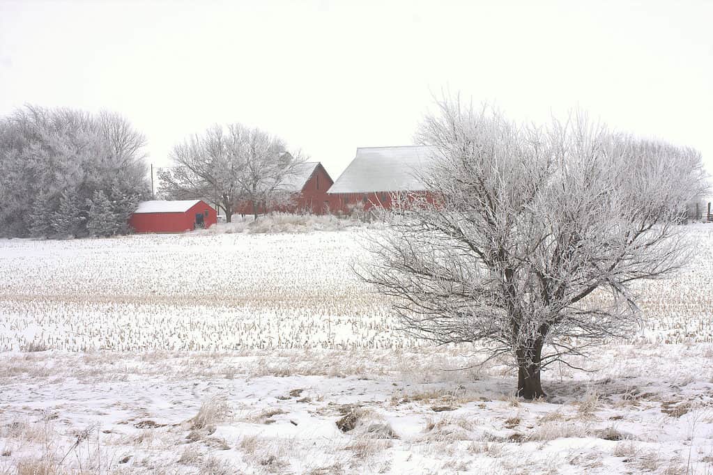 West-central Iowa in the winter