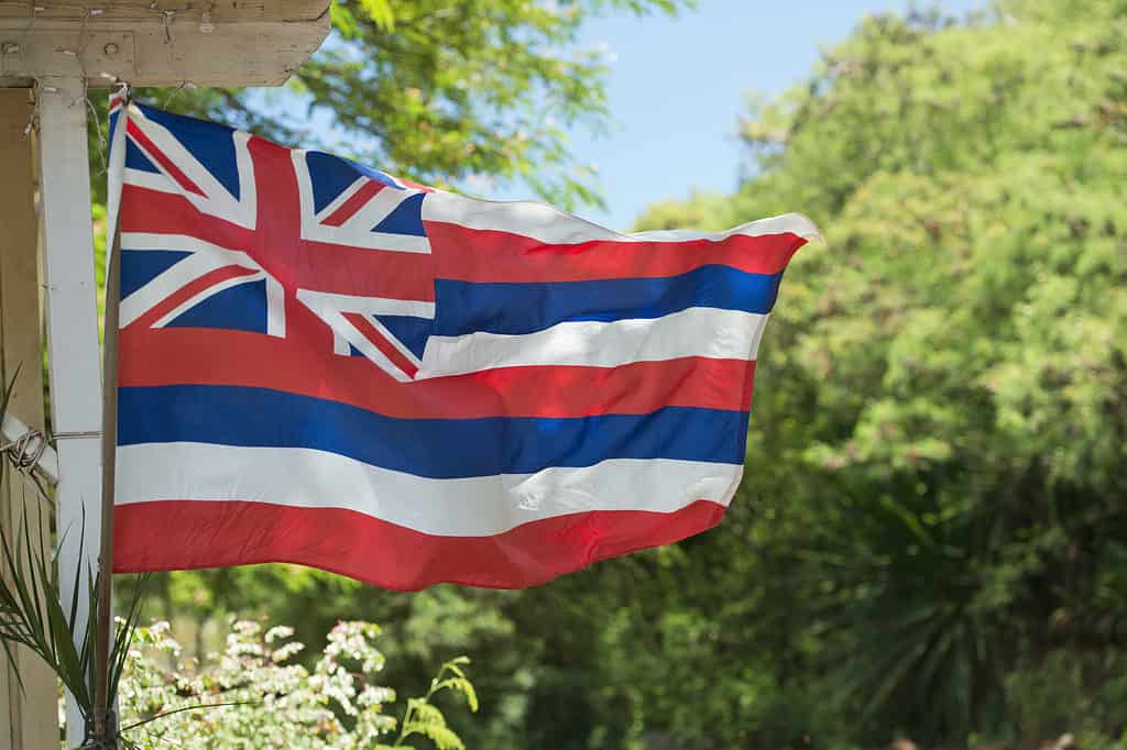 Flag of Hawaii waving