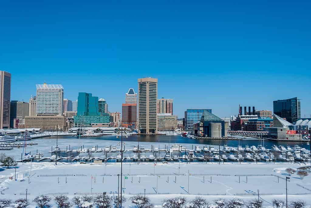 Baltimore Maryland harbor in the snow