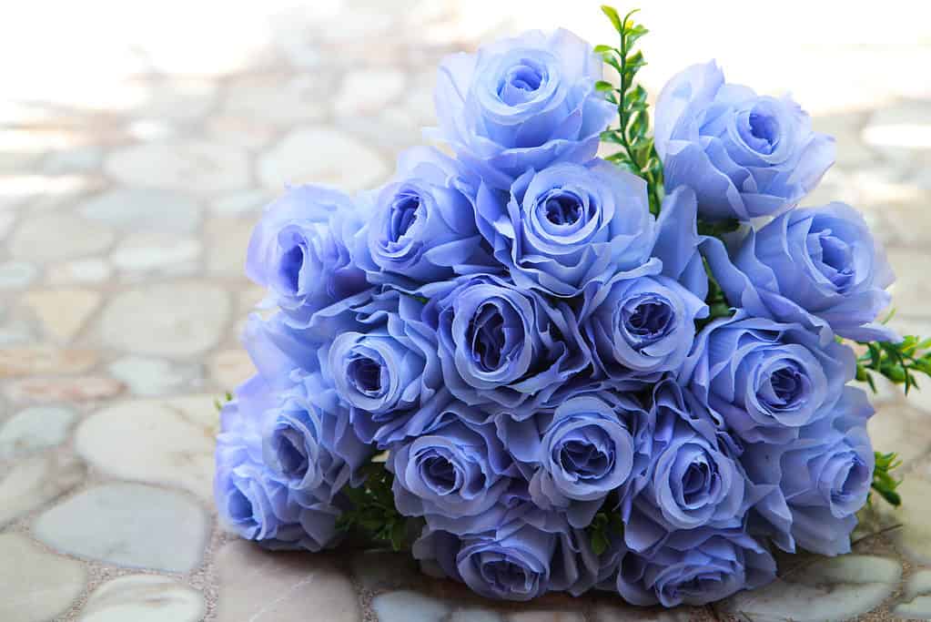 A bouquet of light blue roses lies on a stone paved ground