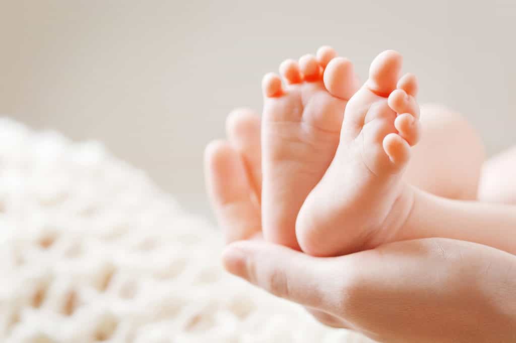 It's easy to see the similarities between an infant's foot and the baby toes succulent.