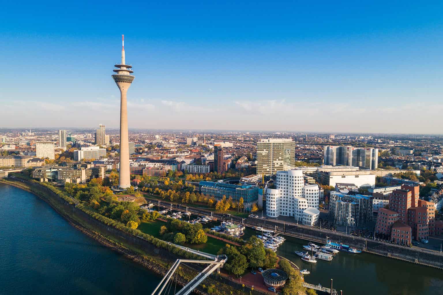 discover-the-10-most-populated-cities-in-germany-az-animals