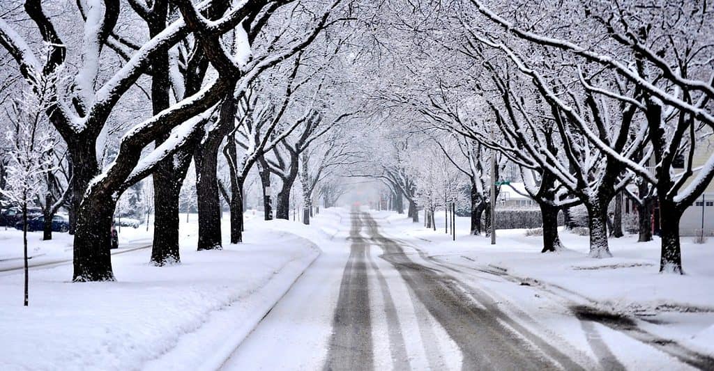 street during winter