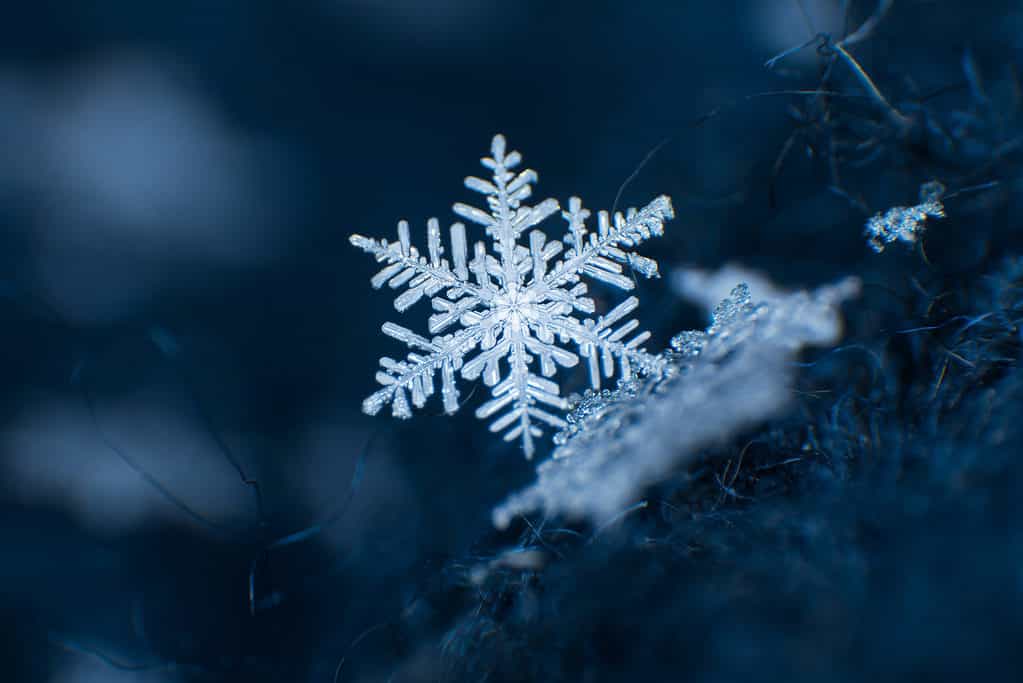 Single snowflake with dark blue, gloomy backdrop