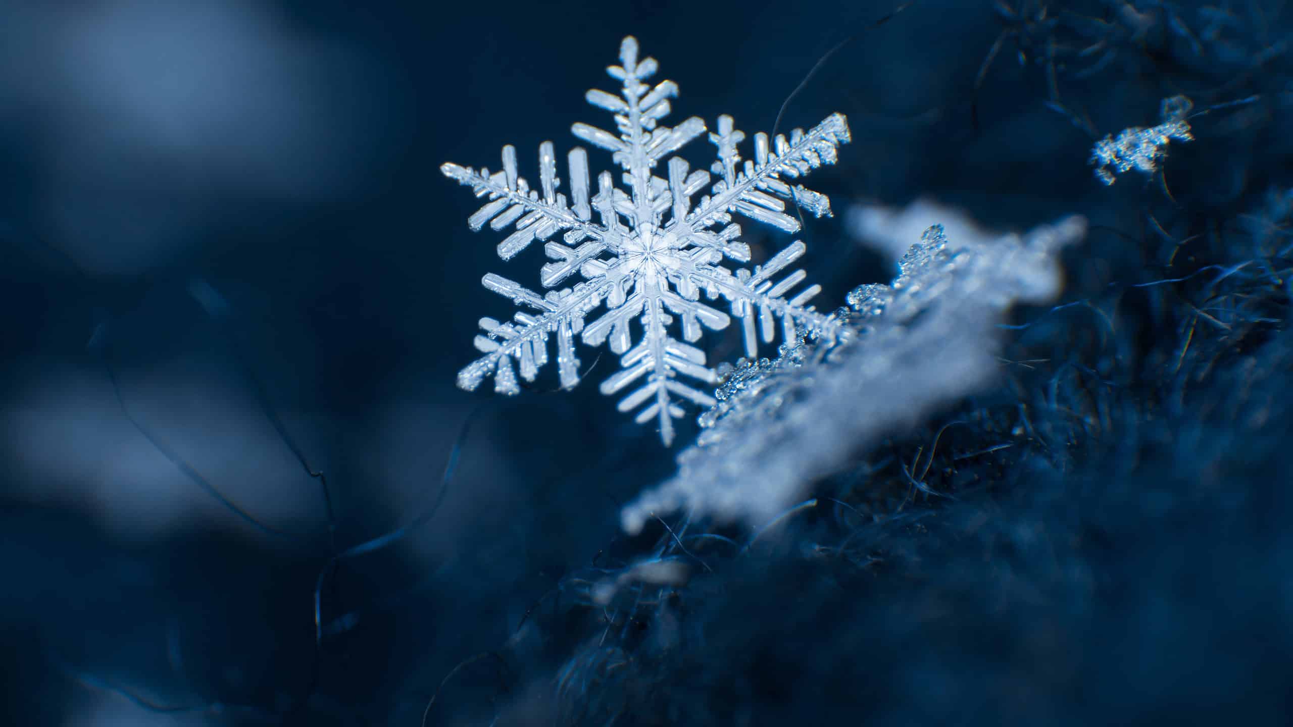 Single snowflake with dark blue, gloomy backdrop