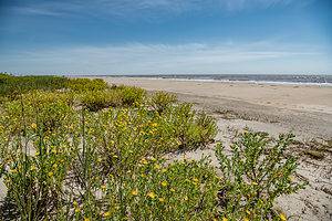 The Longest Beach in Louisiana Is 17 Miles of Tropical Wonder Picture