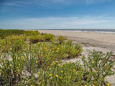 A The Longest Beach in Louisiana Is 17 Miles of Tropical Wonder