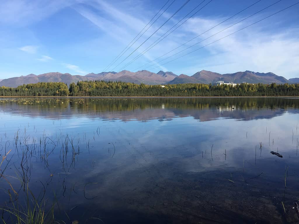 Goose Lake in Anchorage, Alaska