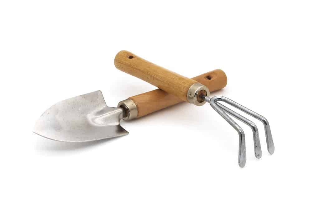 Spade and gardening rake