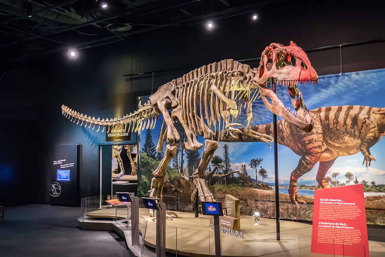 Just How Big Was Giganotosaurus? Was It A T-rex Killer? - A-Z Animals