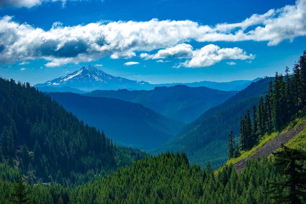 View of Willamette Valley