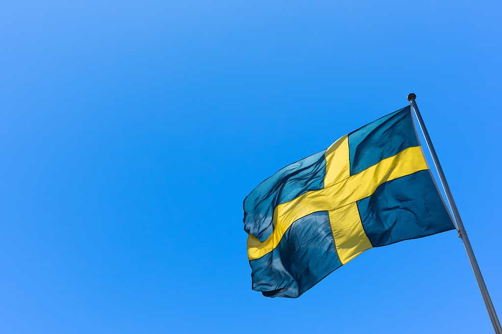 Swedish flag