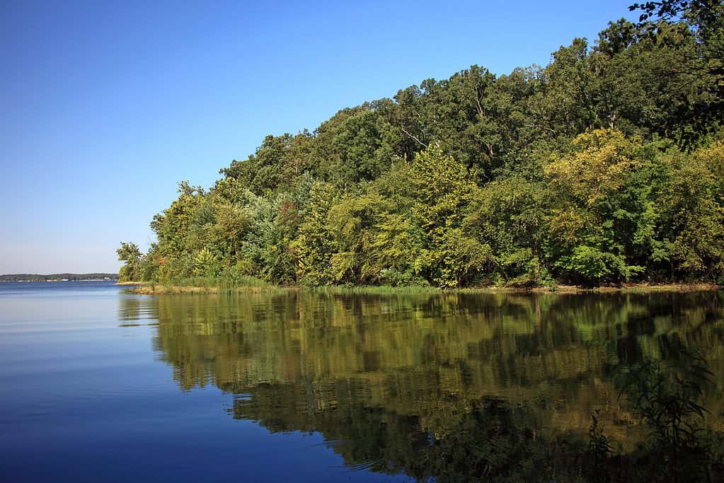 Land Between the Lakes National Recreation Area, Kentucky Lake