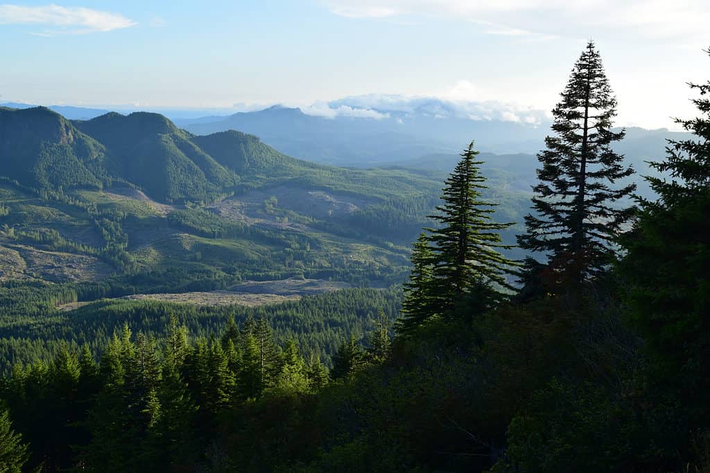 Saddle Mountain