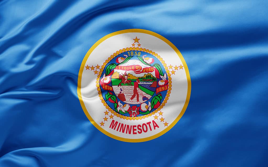 flag of Minnesota